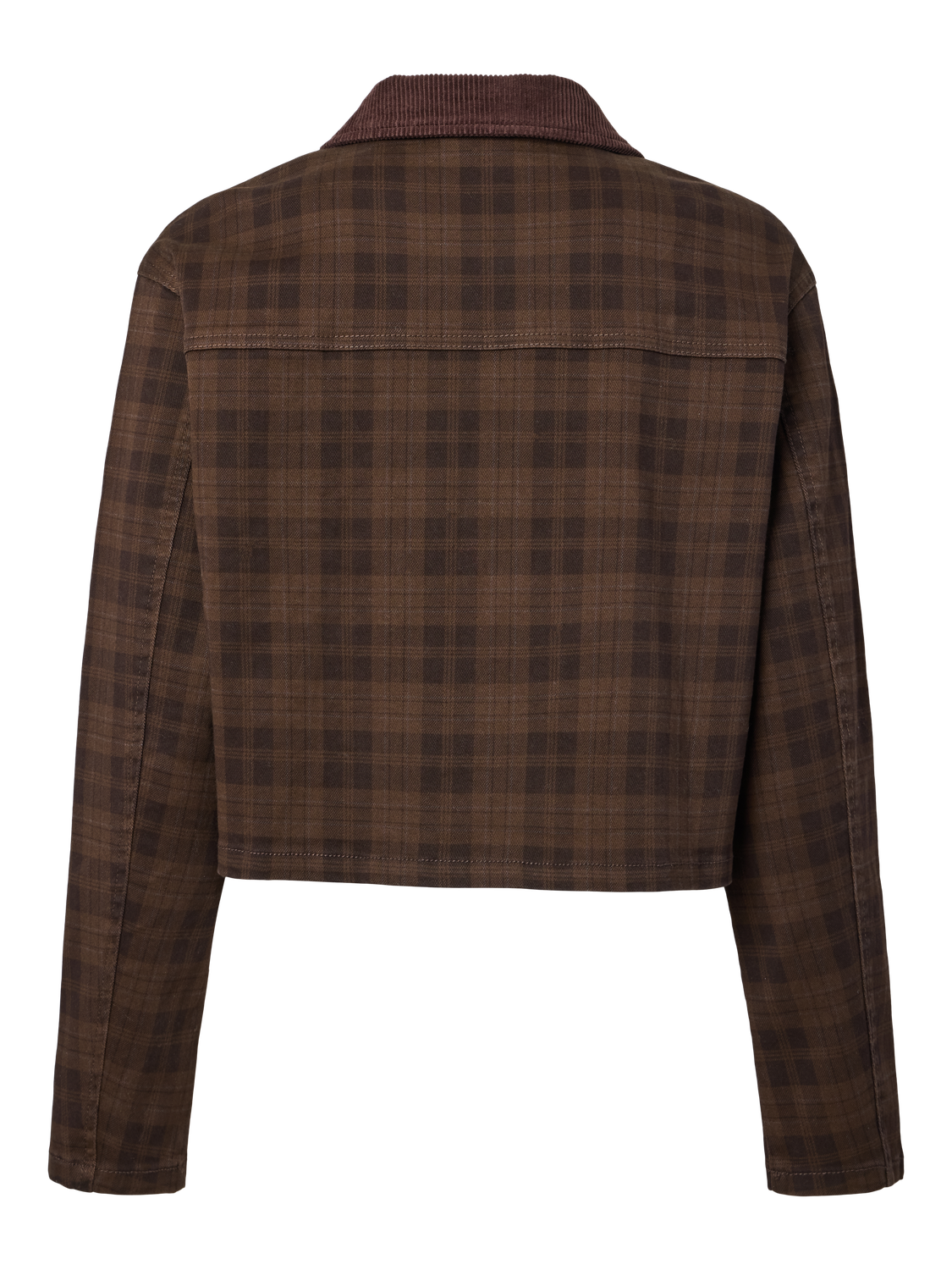 pack_shot-back